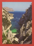 Delcampe - CP 13 CASSIS 9063  Calanque D'En Vau - Cassis
