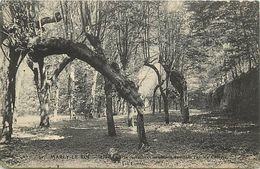 Delcampe - -dpts Div.-ref-AB174- Yvelines - Marly Le Roi - Allée D Arbres Centenaires Et Chemin De Ronde - Les Fosses - - Marly Le Roi