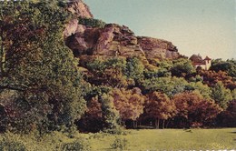 Delcampe - LE MUY LA ROQUETTE  VUE DE LA CHAPELLE DANS LA MONTAGNE (dil388) - Le Muy