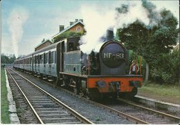 Delcampe - Chemin De Fer à Vapeur Des 3 Vallées - Mariembourg - Treignes - Locomotives MF 83 Et La Rame Voitures L (2 Scans) - Viroinval