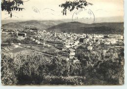 Delcampe - DEP 06 VENCE VUE GENERALE - Vence