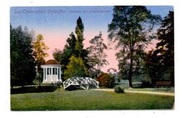 4902 BAD SALZUFLEN, Leopoldsprudel Im Kurpark, 1919 - Bad Salzuflen