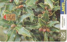 Delcampe - Nº 225 TARJETA DE UNA FLOR DE URUGUAY CONGOROSA (FLOWER) (CHIP G4 NEGRO) - Uruguay