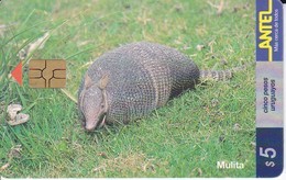 Delcampe - Nº 92 TARJETA DE URUGUAY MULITA (ARMADILLO)  (CHIP G5 ROJO) - Uruguay