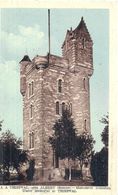 Delcampe - SOMME - 80 - THIEPVAL  Près Albert - Monument Commemoratif 14-18 - Colorisée - Albert