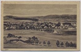 Delcampe - Isny, Ortsansicht   1917y.   E434 - Isny