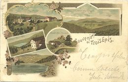 Delcampe - 68 Cpa  Trois Epis Souvenir Litho Lac Blanc Hotel Schaefer Rain 1898 - Trois-Epis