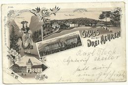 Delcampe - 68 Cpa  Gruss Von Den Drei Aehren Trois Epis  Litho Hotel Tuckheim Alsacienne 1898 - Trois-Epis