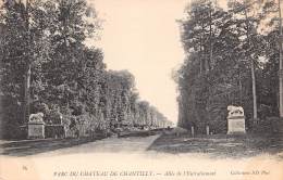 Delcampe - 60 - Parc Du Château De CHANTILLY - Allée De L'Entraînement - Chantilly