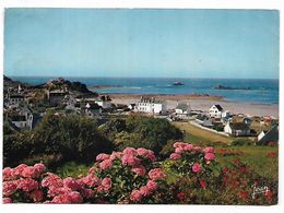 Delcampe - Cpm 2915434 Primel Trégastel Vue Sur La Pointe Et La Plage - Primel