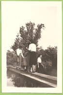 Delcampe - Montemor-o-Novo - Passeio Junto Ao Lago. Évora. - Evora