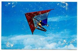 Delcampe - United States Modern Postcard Delta Kite Act - Cypress Gardens, Florida - Wasserski