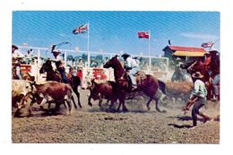 CANADA - ALBERTA - CALGARY, Calgary Stampede - Edmonton