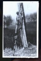 Delcampe - BISCAROSSE GEMMAGE 1952 - Biscarrosse