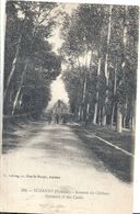 Delcampe - SOMME - 80 - SUZANNE Près Albert - 180 Hab - Avenue Du Château - Albert
