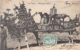 Delcampe - ¤¤   -  LE CAIRE   -  Mariage Arabe  -  Chameau    -  ¤¤ - Kairo
