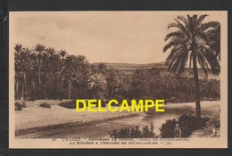 Delcampe - DD / ALGERIE / L' AURÈS / ENVIRONS DE BISKRA / OASIS DE M'CHOUNÈCHE / LA RIVIÈRE À L' ENTRÉE DE M'CHOUNECHE - Biskra