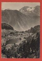 Delcampe - CP 38 CHAMROUSSE 66 - Chamrousse