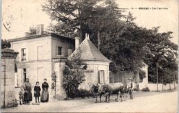 Delcampe - 17 - JONZAC --  LesLauriers - Jonzac