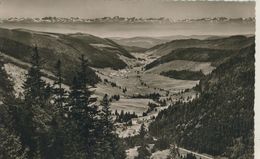 Delcampe - Feldberg V. 1964  Blick Vom Feldberg Ins Menzenschwander Tal Mit Schweizer Alpen   (713) - Feldberg