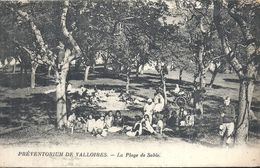 Delcampe - SOMME - 80 - ARGOULES Près De RUE - 320 Hab - VALLOIRES - Préventorium - Plage - Rue