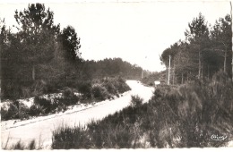 Delcampe - ***  40  ***  BISCARROSSE PLAGE  La Route De La Plage - Timbrée 1950 TTB - Biscarrosse