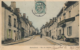 Delcampe - (CPA 61) REMALARD  /  Rue Des Moulins  -  (défaut Coin Bas Gauche) - Remalard