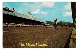 CPSM ETATS-UNIS NEW-YORK SARATOGA RACE TRACK - Saratoga Springs