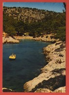 Delcampe - CP 13 BOUCHES DU RHONE CALANQUE PORT PIN 2262 - Cassis