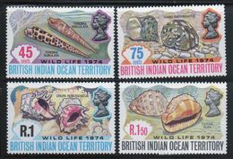 British Indian Ocean Territory 1974 Set Of Stamps To Celebrate Wildlife 2nd Series. - Territoire Britannique De L'Océan Indien