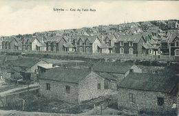 Delcampe - LIEVIN CITE DU PETIT-BOIS 62 - Lievin