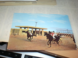 Delcampe - Riyadh Horse Racing - Saudi-Arabien