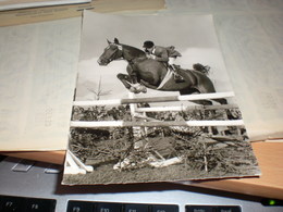 Horse Riding Meteor Fritz Thiedemann - Tuffi