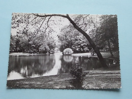 Delcampe - STADSPARK - VIJVER ( Copyright De Greef ) Anno 19?? ( Zie Foto Details ) - Vilvoorde