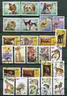 Delcampe - (lot 80) Oman Ob. - Série De 20 Tbres - Chats, Chiens, élephant, Rhinocéros, Hippopotame, Hyène, Baboin, Etc… - - Oman