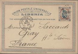 Delcampe - Liberia Entier Postal 3c Bleu Et Brun Rouge Oblit CAD Monrovia 22 5 01 Le Courrier Du Liberia Pour France Très Rare - Liberia