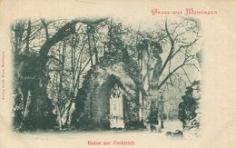 Delcampe - 004562  Gruss Aus Meiningen - Ruine Am Parkteich - Meiningen