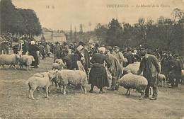 Delcampe - D-18-956 : COUTANCES. PLACE DU MARCHE DE LA CROUTE. MOUTONS. - Coutances