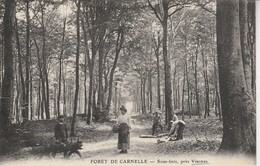 Delcampe - 95 - VIARMES - Forêt De Carnelle - Sous - Bois - Viarmes