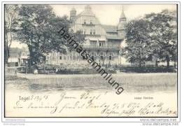 Delcampe - Berlin-Tegel - Kaiser Pavillon - Tegel