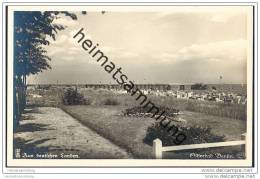 Delcampe - Bansin Auf Usedom - Motiv Aus Den Anlagen Am Strande - Foto-AK Ca. 1930 - Usedom
