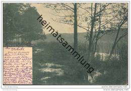 Delcampe - Berlin-Grunewald - Blick Auf Hundekehle - Grunewald