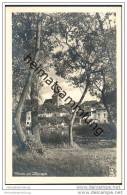 Delcampe - Waren-Müritz - Foto-AK 30er Jahre - Waren (Müritz)