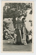 Delcampe - AFRIQUE - NIGER - Partisan Méhariste - Niger