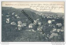 Delcampe - Blankenburg A.H. Vom Schlossberg Gesehen - Blankenburg