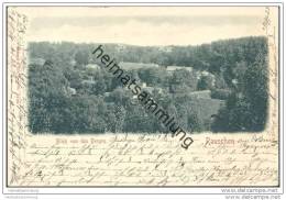 Delcampe - Ostseebad Rauschen (Swetlogorsk) Teilansicht - Ostpreussen