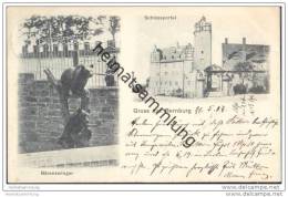 Delcampe - Gruss Aus Bernburg - Schlossportal - Bärenzwinger - Bernburg (Saale)