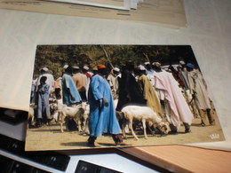 Delcampe - Marche  Mickey Mouse Stamps - Gambia