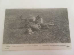 Delcampe - BA -100 - Chien Ambulancier Découvrant Un Bléssé - Rotes Kreuz