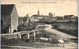 Delcampe - 21 - ARNAY Le DUC --  Vue Prise Du Pont De Bois - Arnay Le Duc